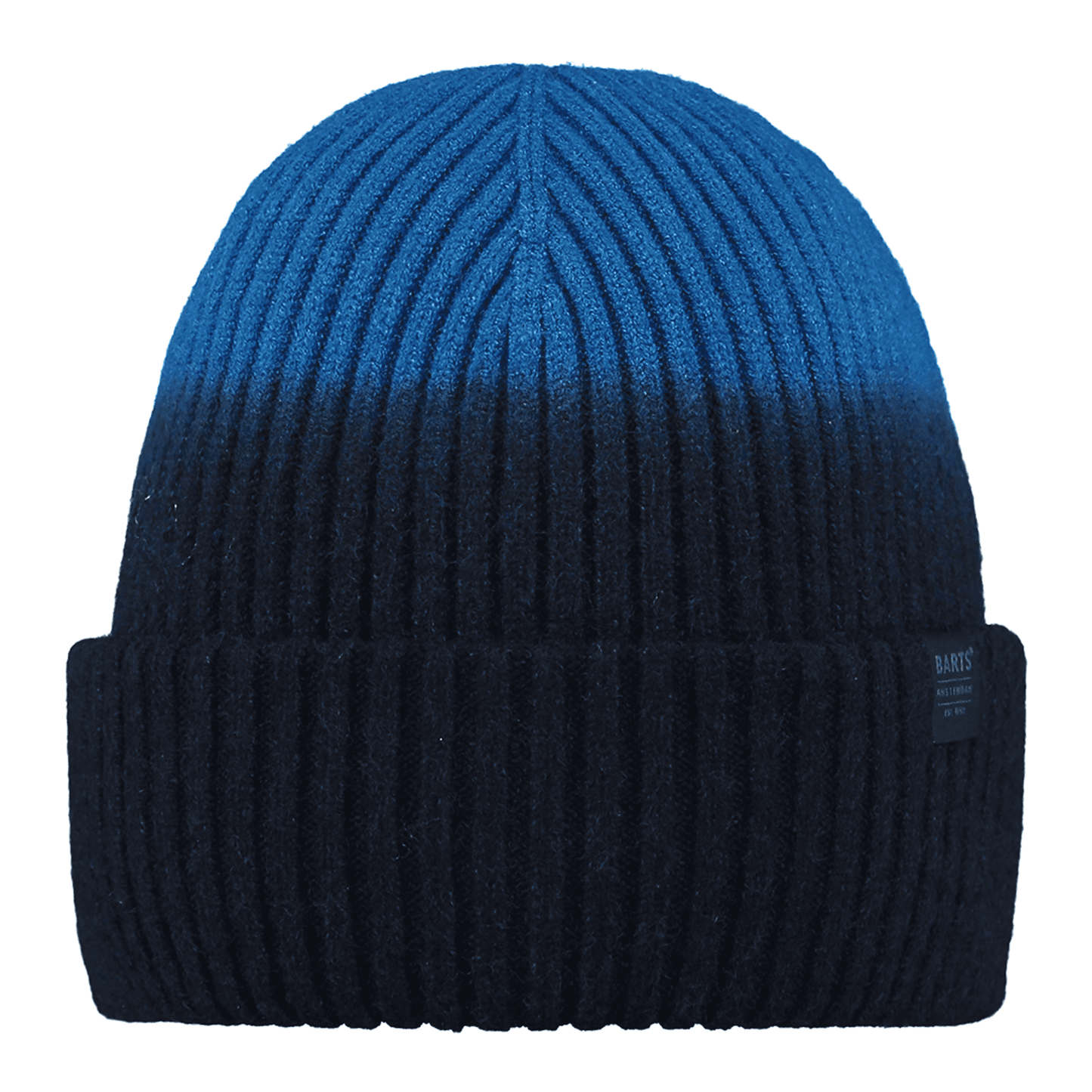 Barts Ridgel Beanie - Blue